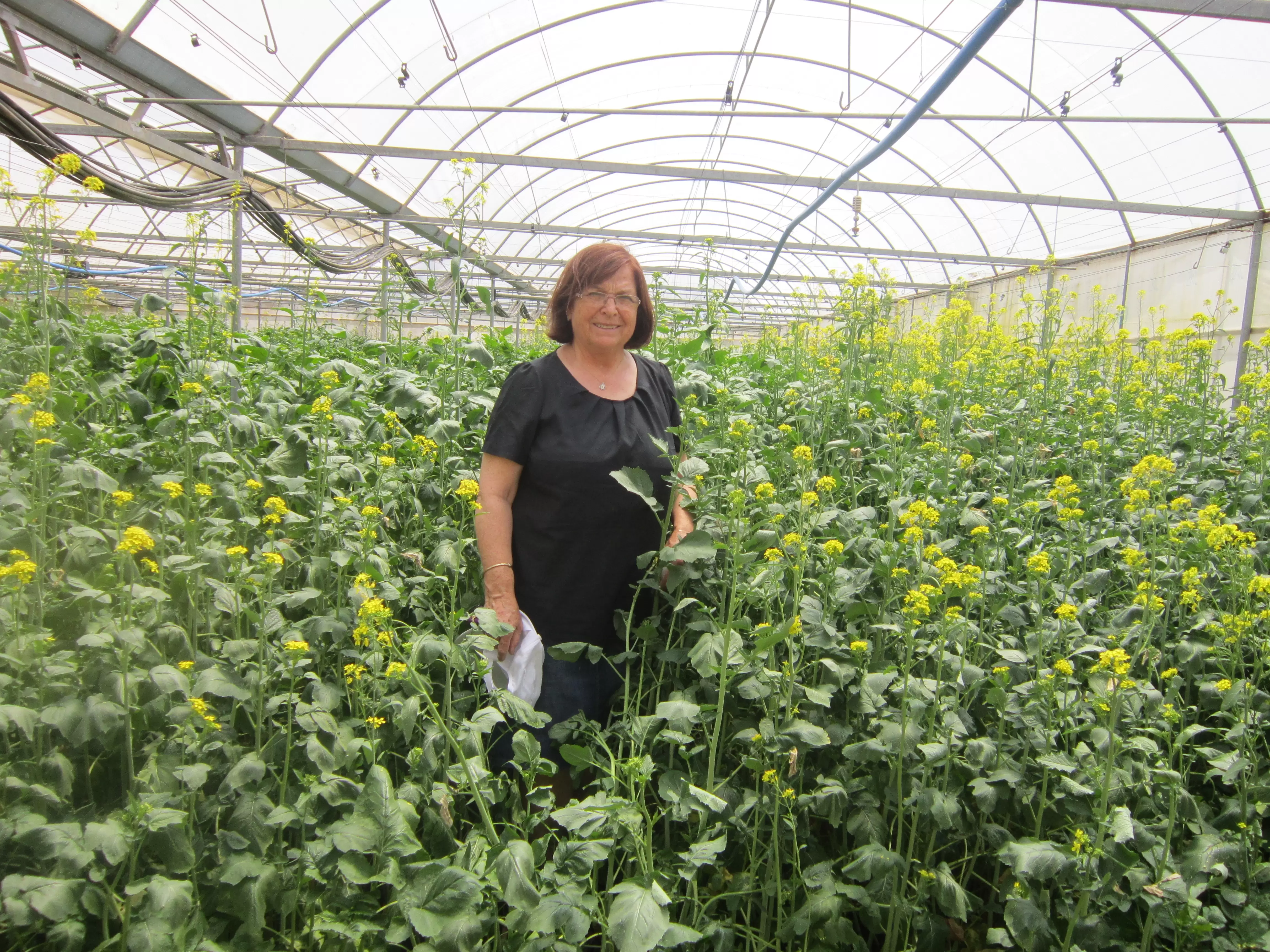 farmi-tarimsal-hakkinda